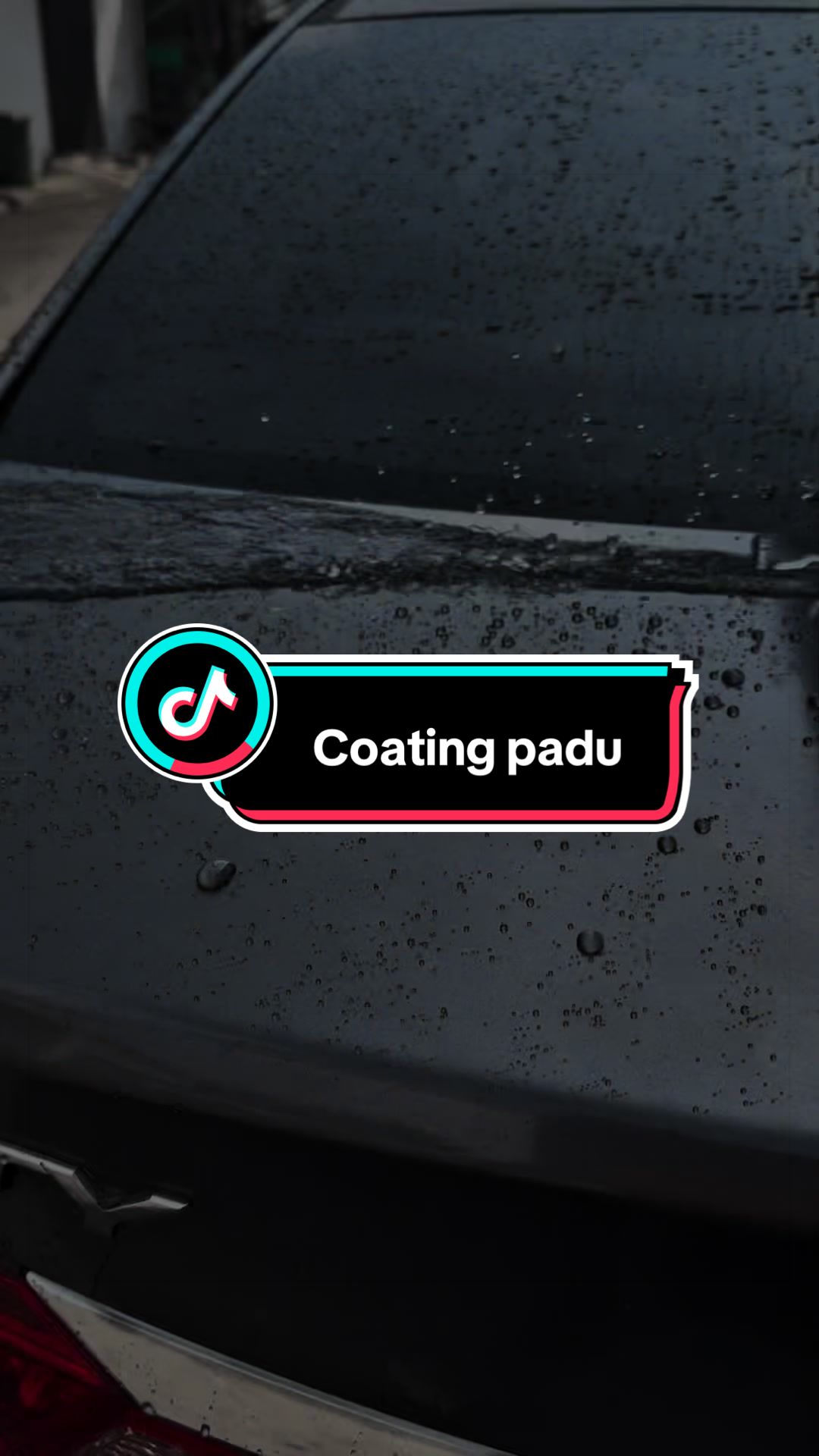 @Carega Auto
