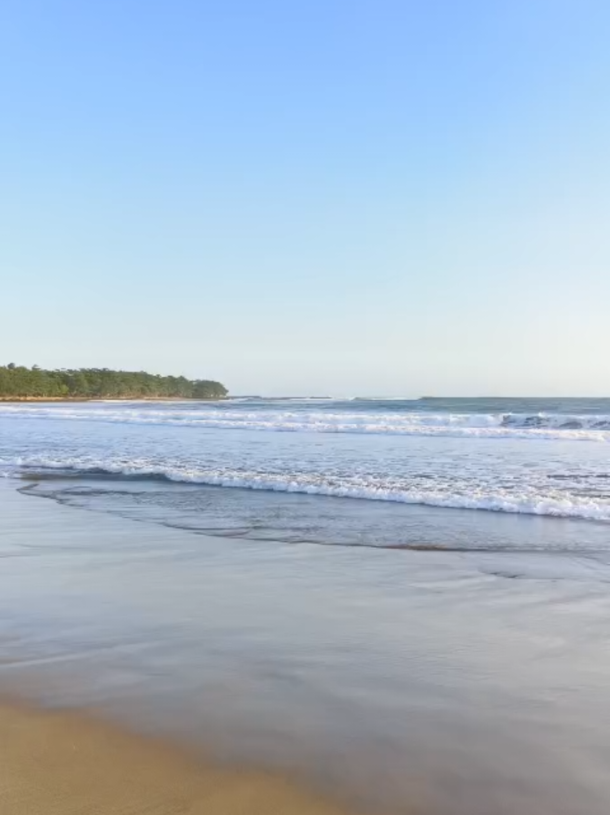 @alzio beauty