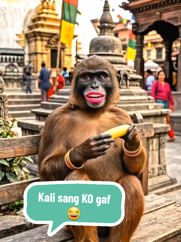 @Manoj Limbu