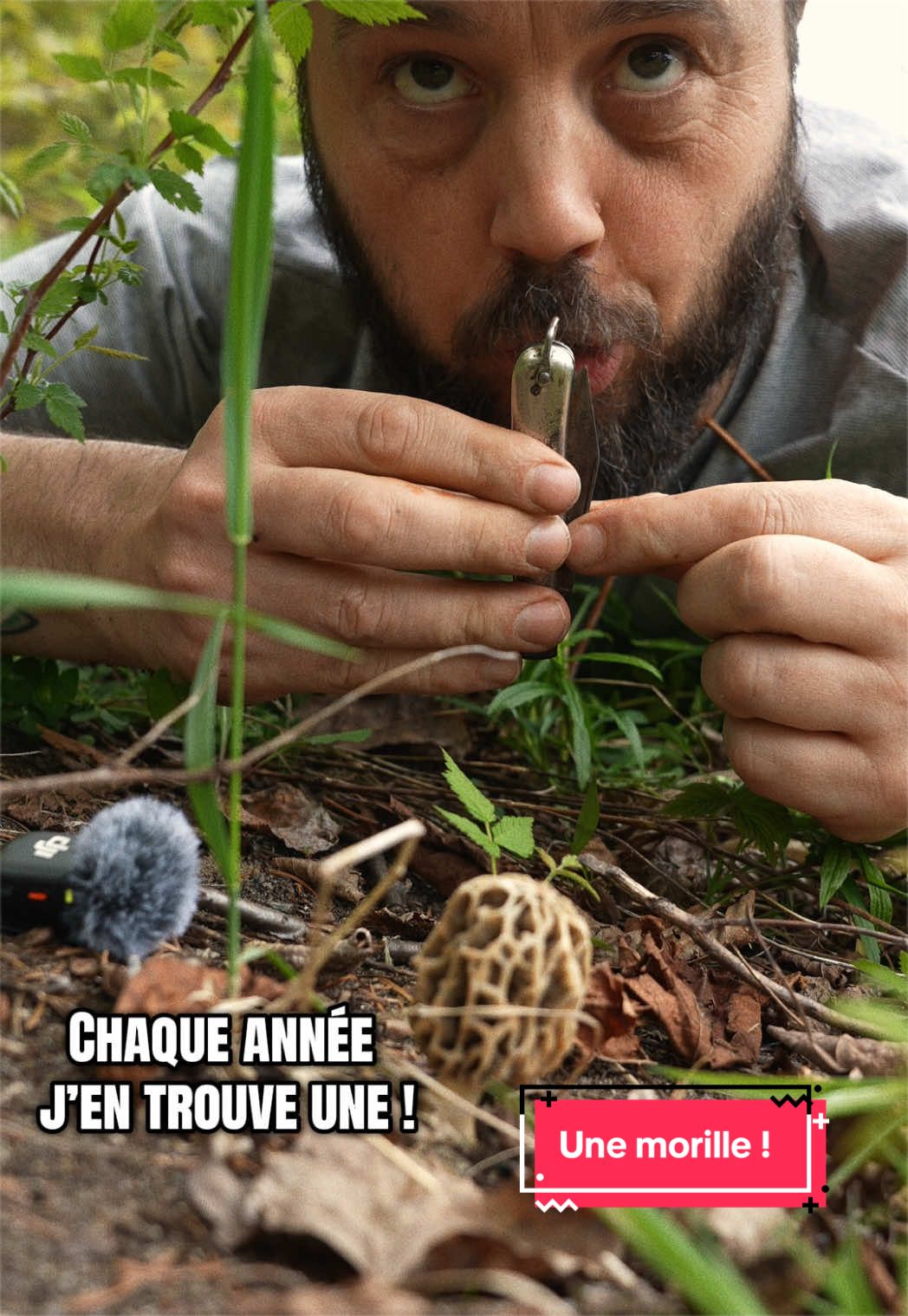 @r&ecirc;ves en chantier