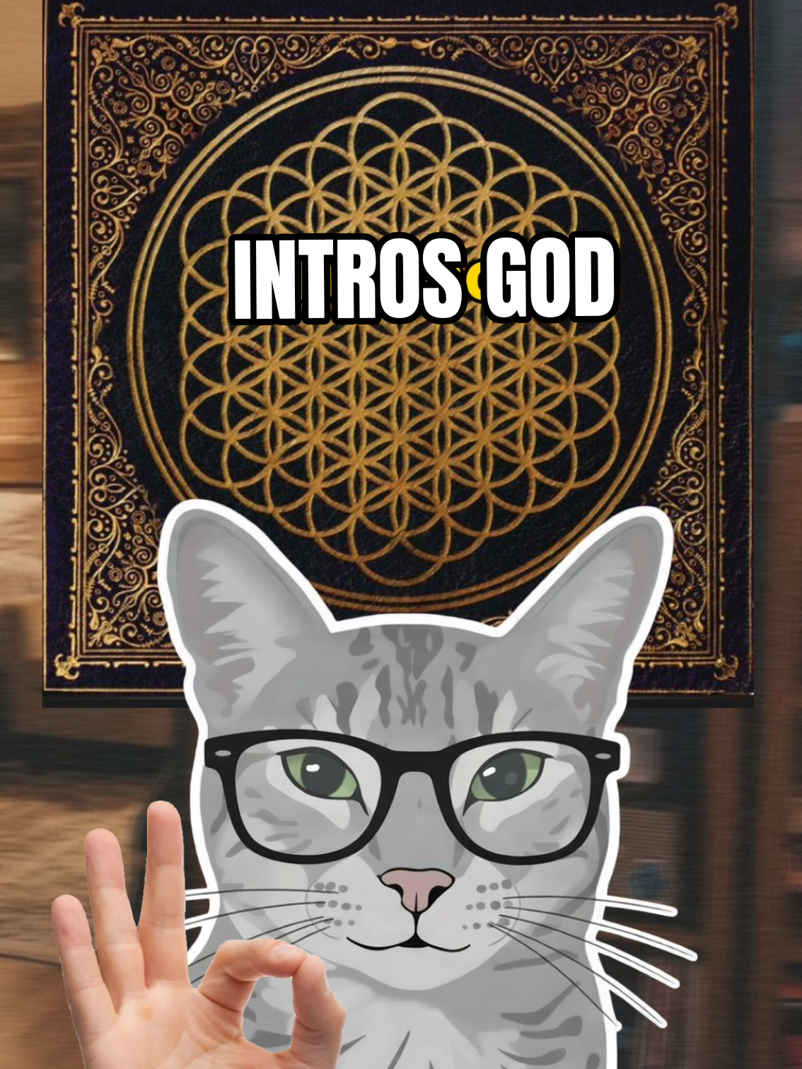 @UN GATO WEY