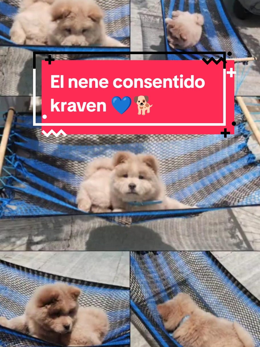 @Lizzi VzM🦋