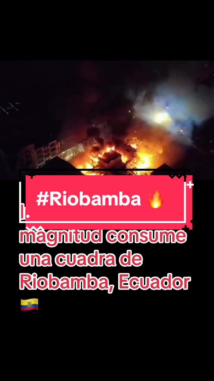 @intirubens