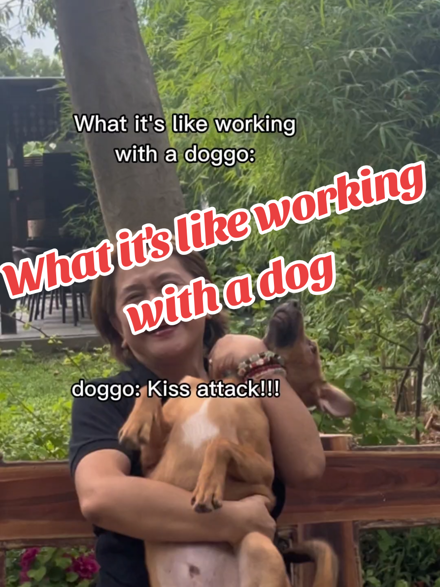 @AnimalKingdomFoundation