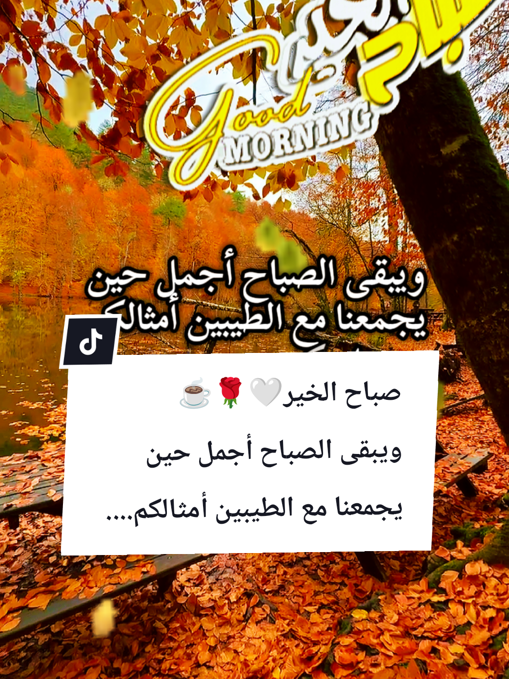 @🌟𝗦𝗼𝘂𝘇𝗮𝗻 𝗖𝗵𝗮𝗺𝘀
