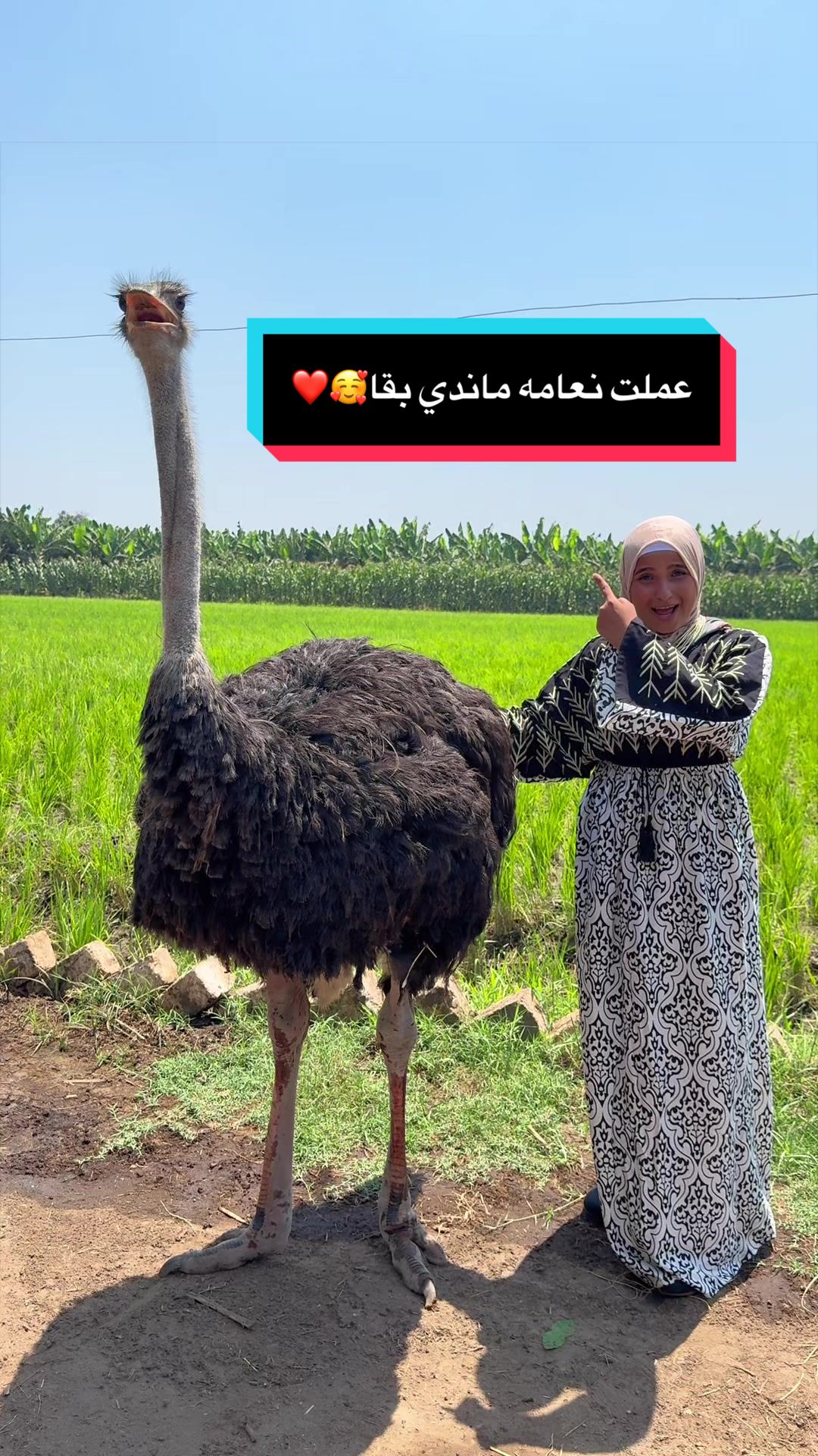 @habiba.baaqa