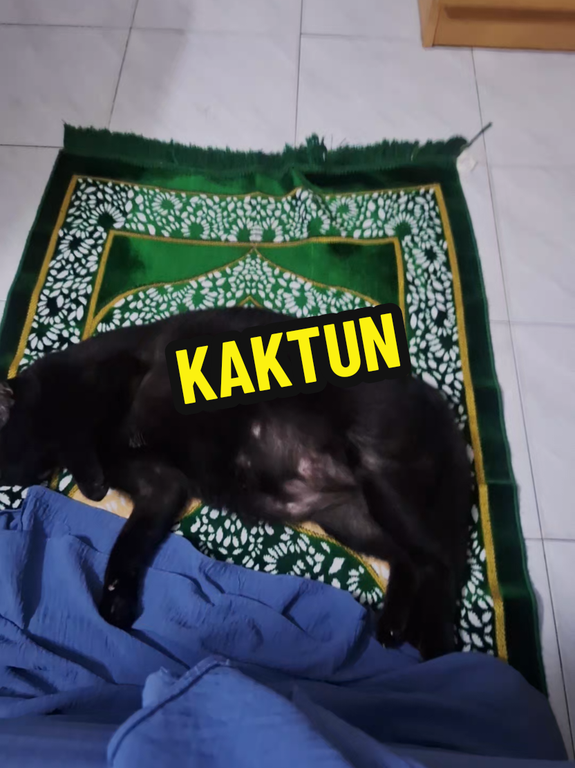 @KAKTUN
