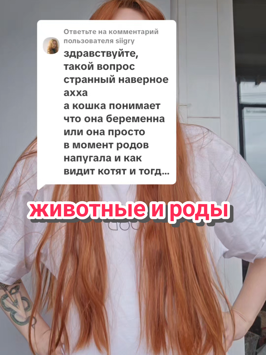 @lazarewhy