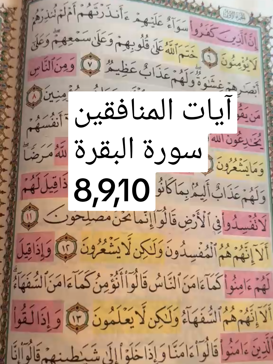 @Fadwa wawi
