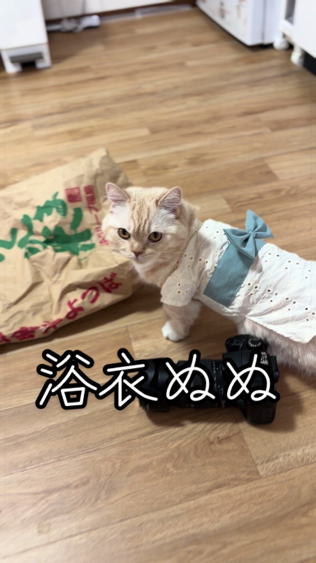 @縫くんと私