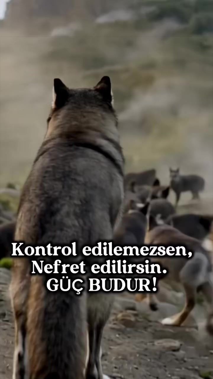 @Ali Karakas Beg