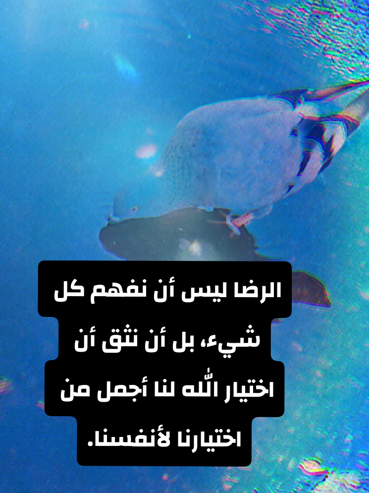 @🍃🌸Tahani Khafas🌸🍃