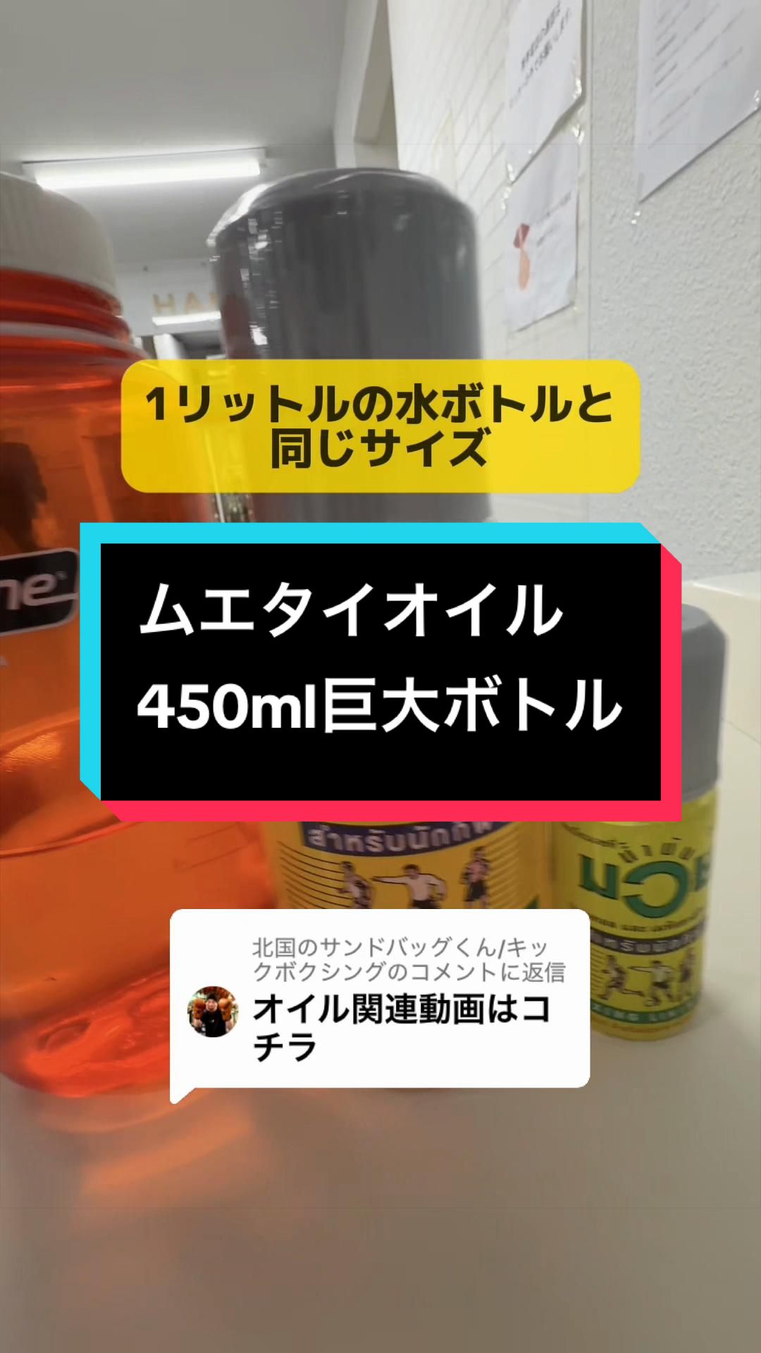 @北国のサンドバッグくん/キックボクシング
