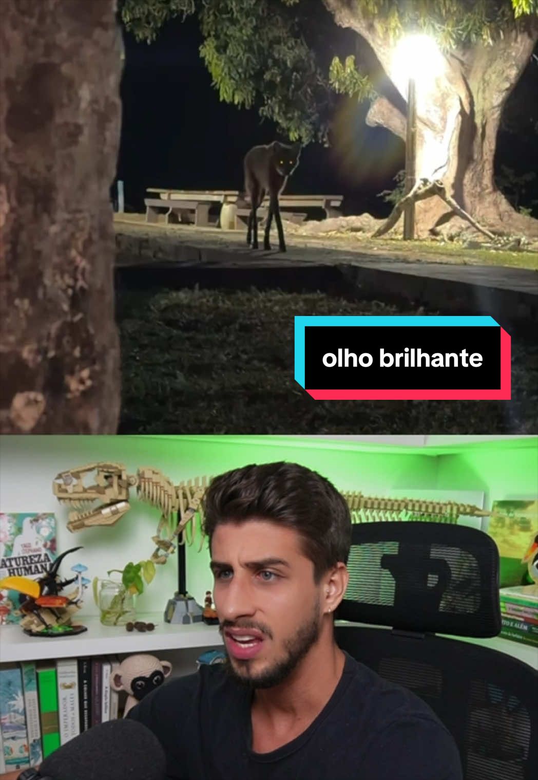 @Yago Stephano