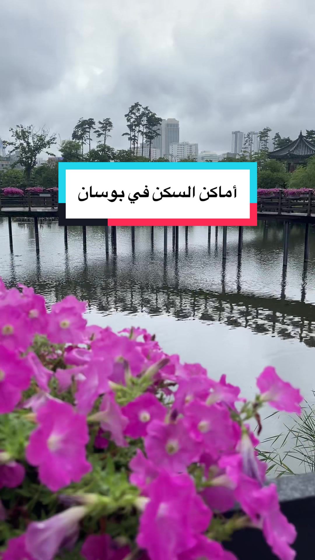 @DN๐ฐ๐ท