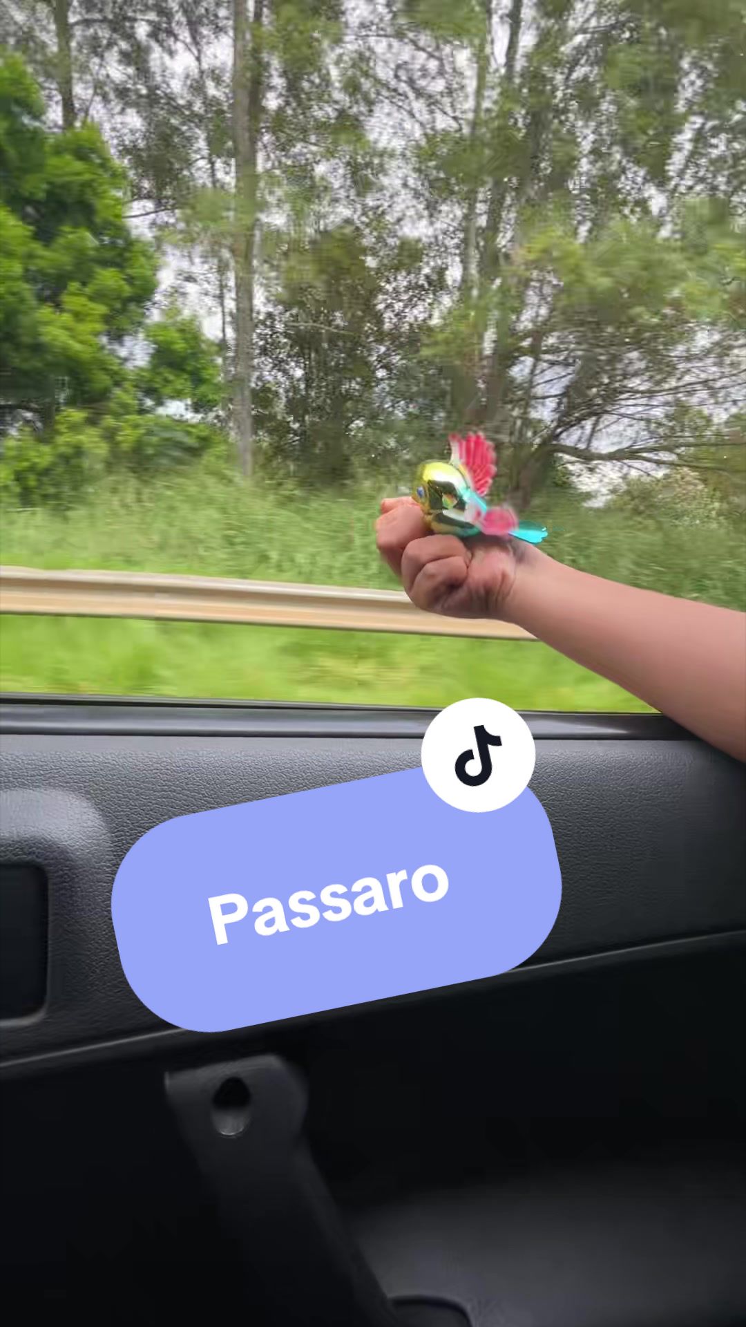@Danilo Pires de Almeida