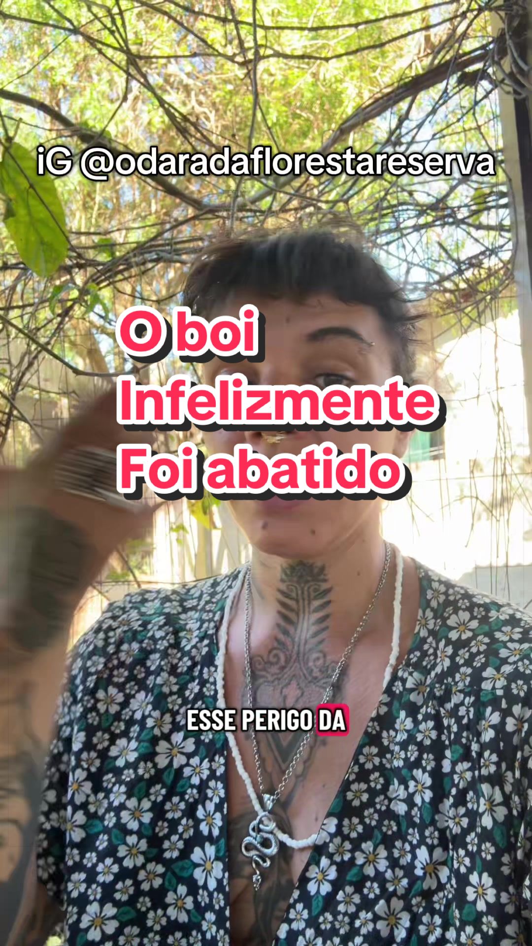 @Odara da Floresta 🇧🇷