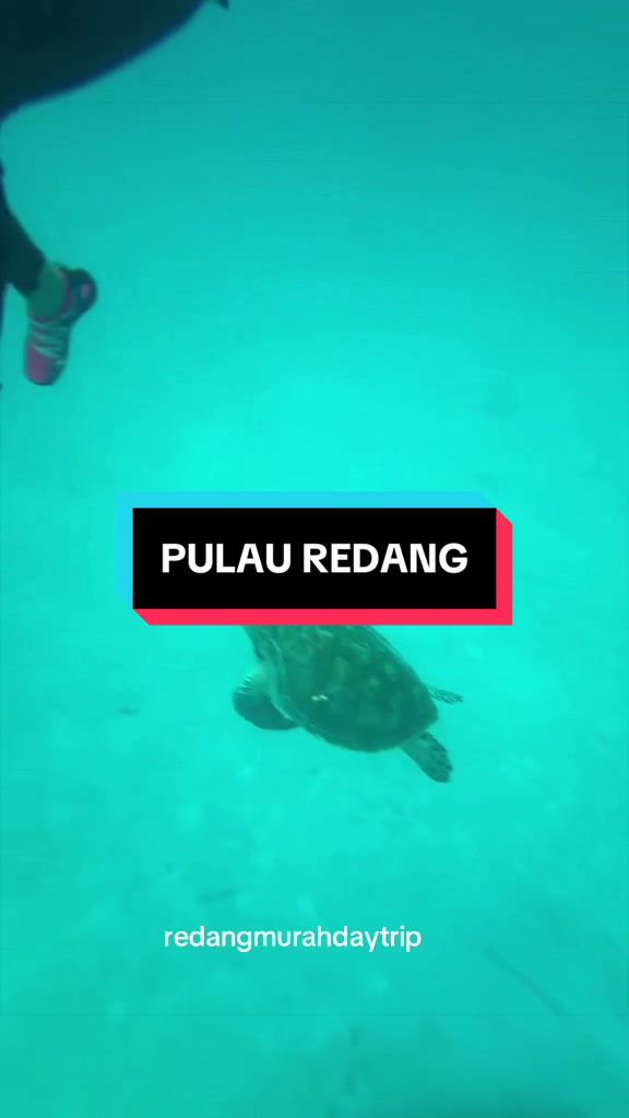@raapakejpulauganu🤿