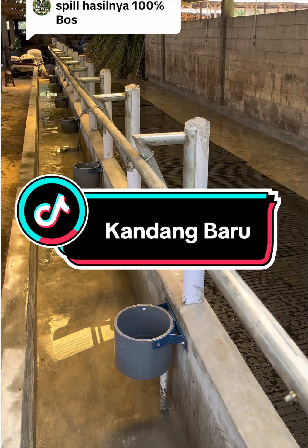 @Nakama Farm KWB
