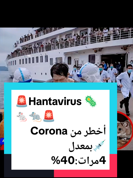 @🌸Hanin 🌸