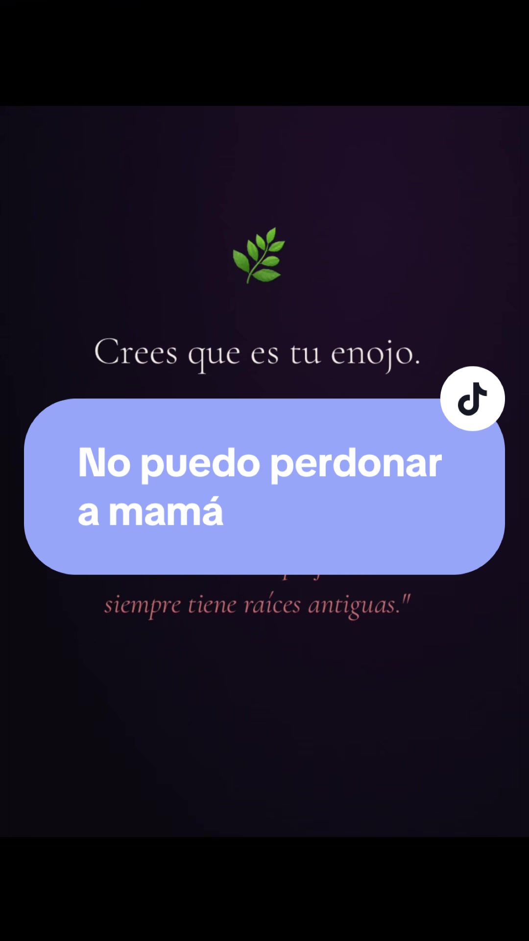 @Laura Moon 520