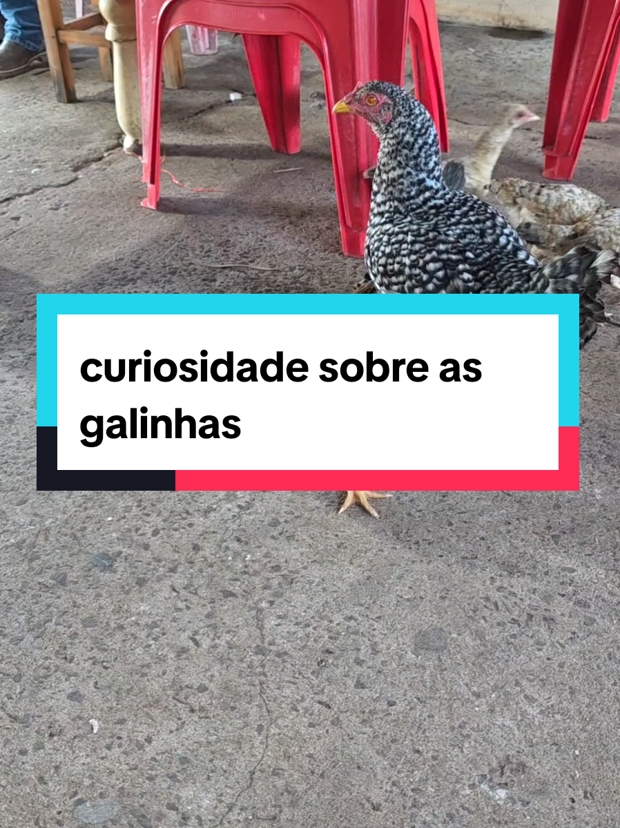 @Dicas e Receitas Naturais