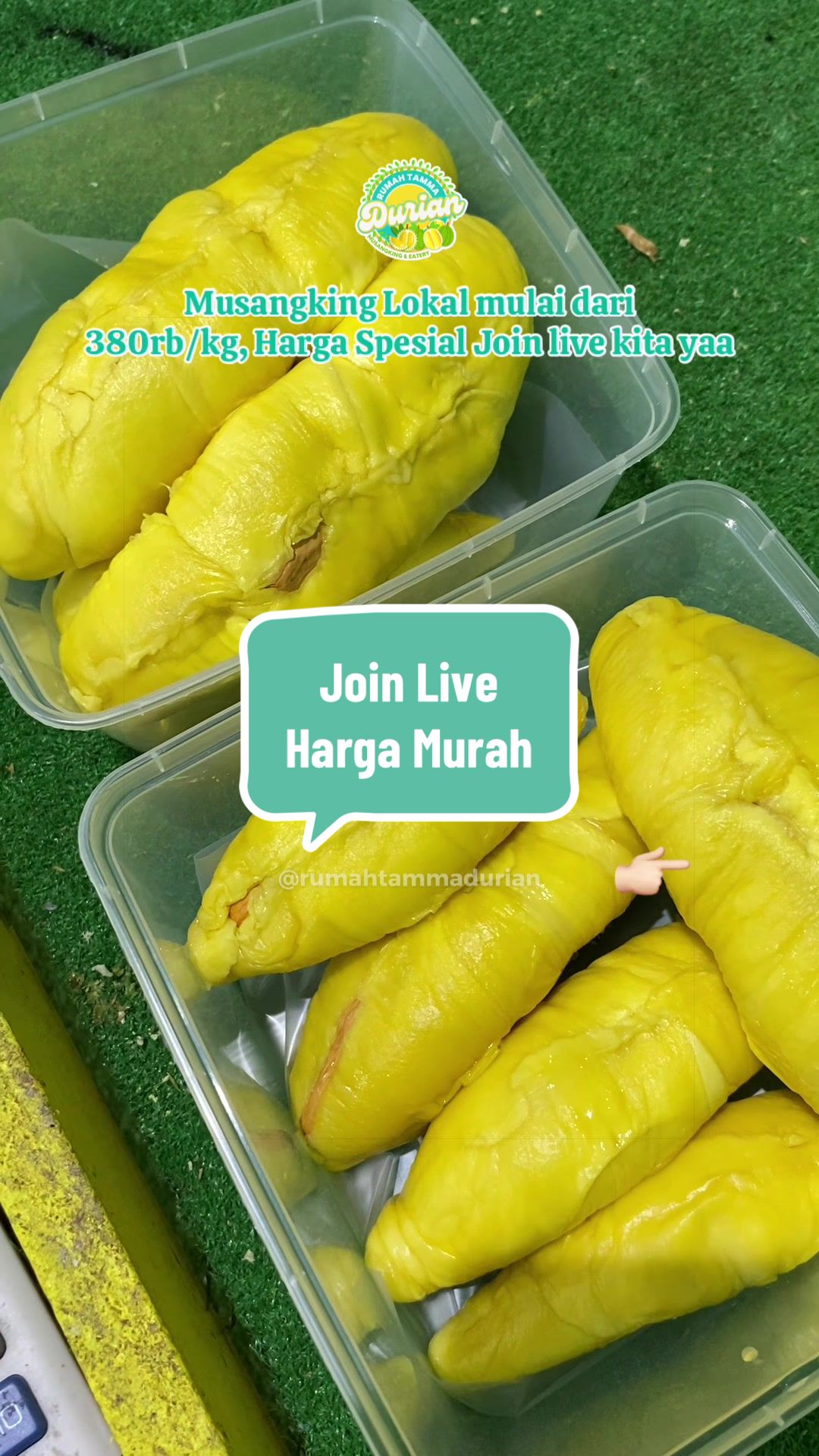 @Rumah Tamma Durian