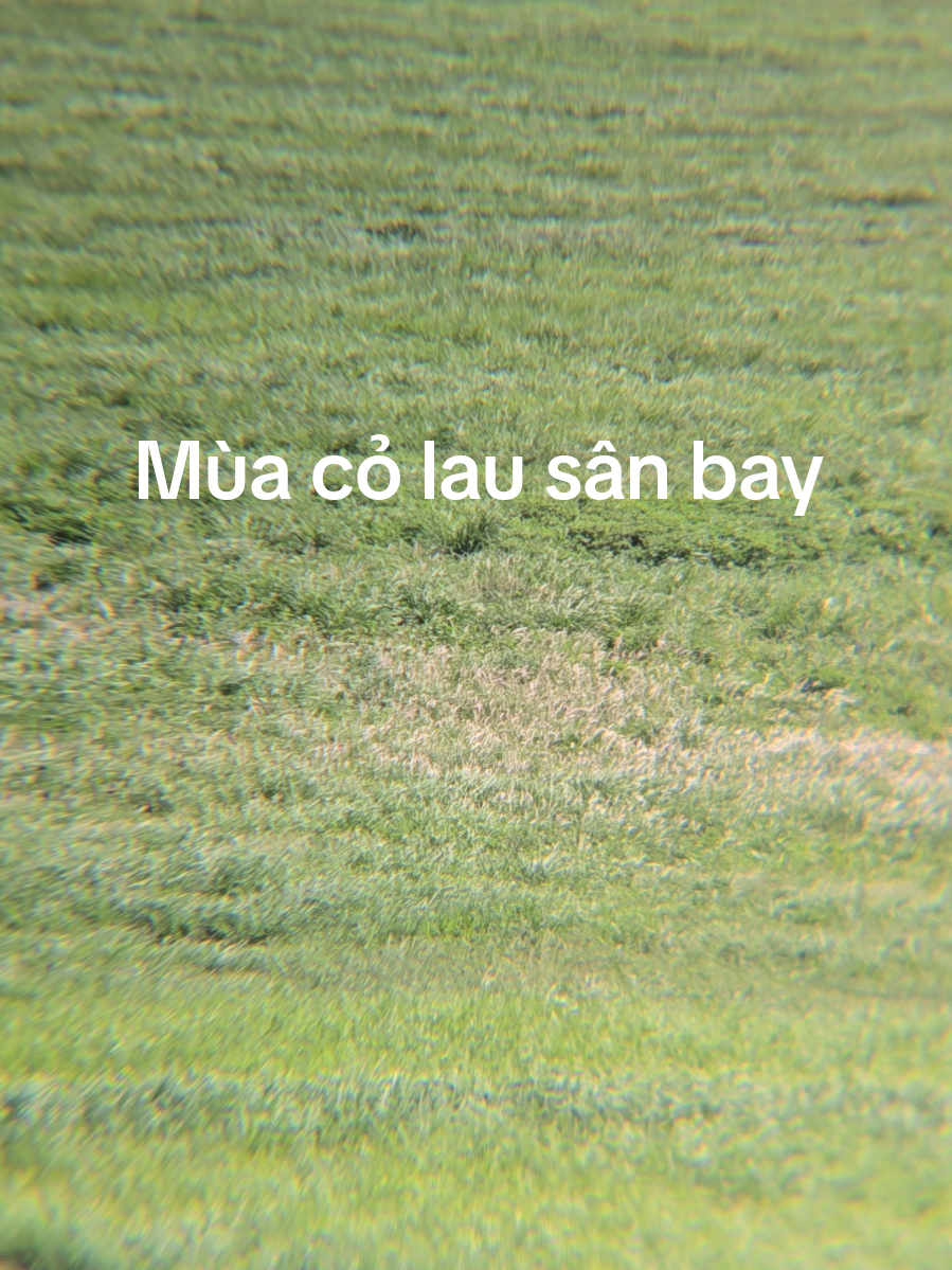 @Đồng Live M&aacute;y Bay ✈️