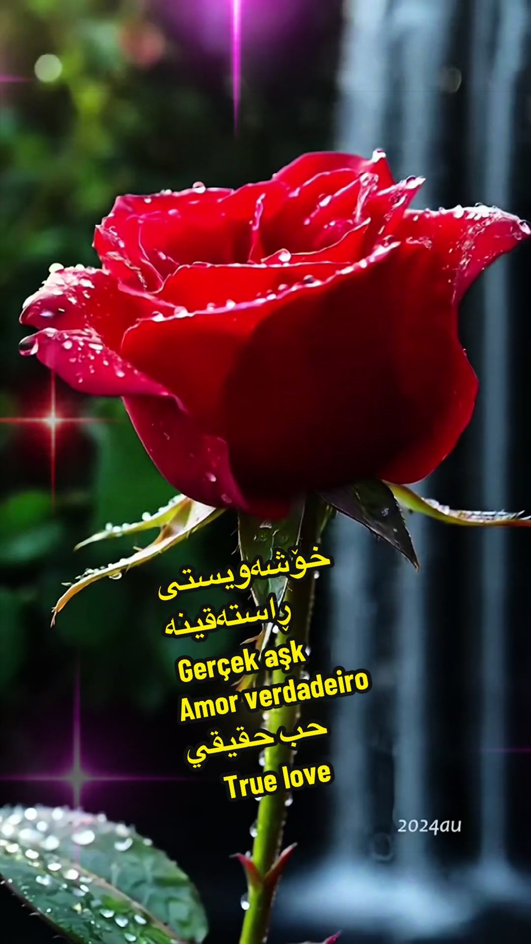 @یوسف کوردی بەڕازیل