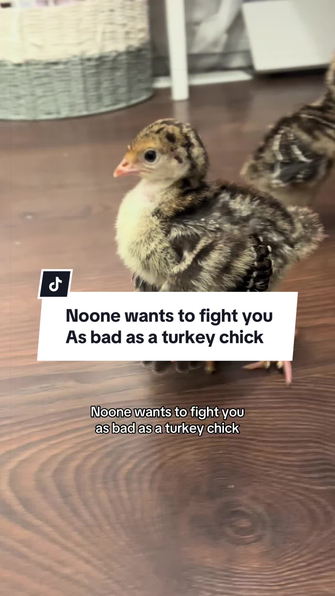 @Pond Side Acres