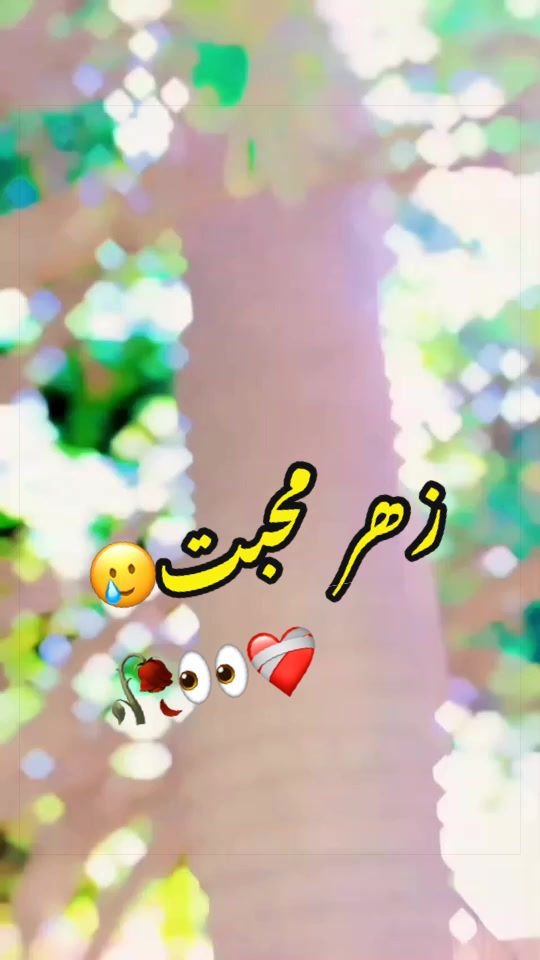 @🕊S-A-N-D-H-I ❤️🩹G-A-L-I-B🍂