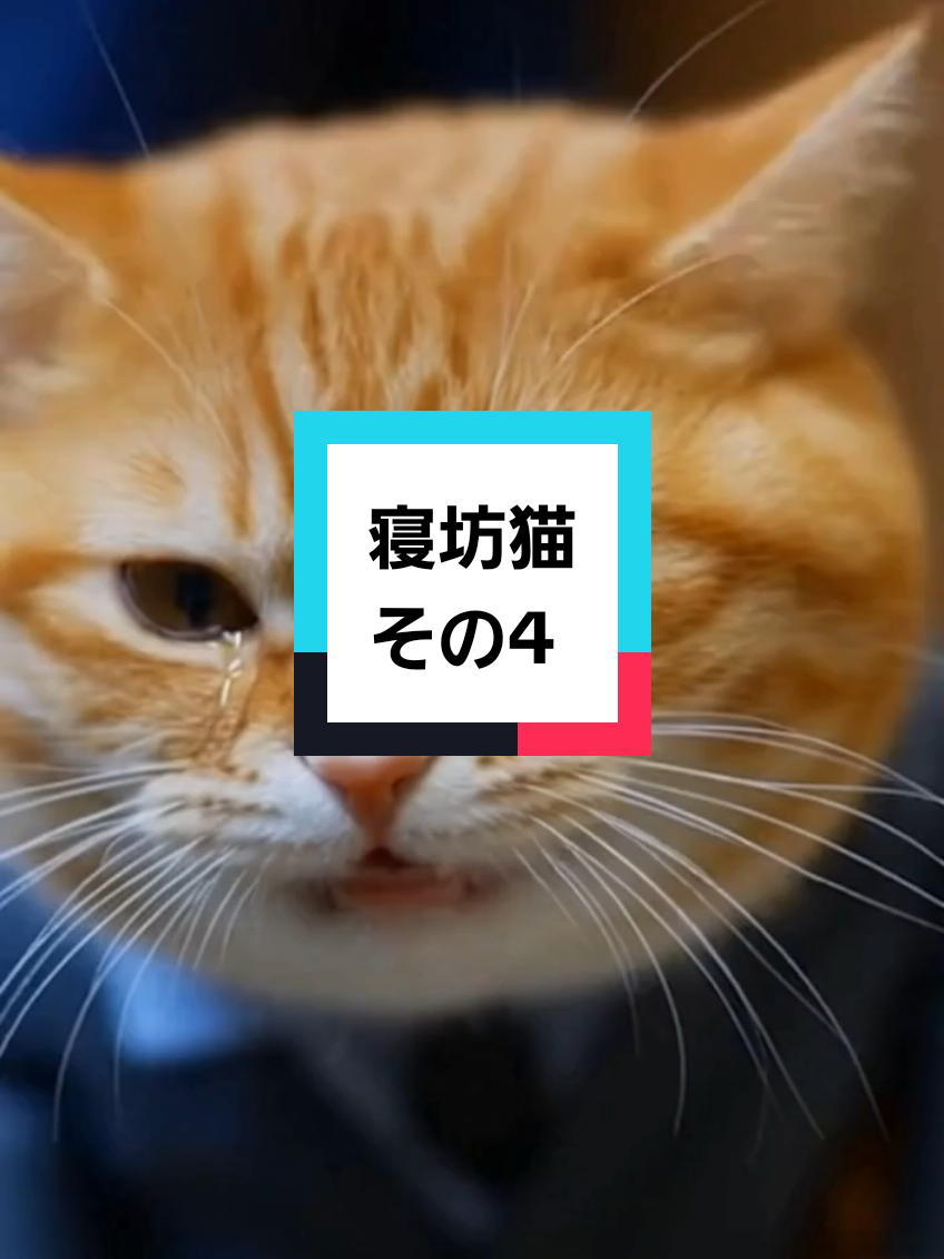 @AI動物園園長