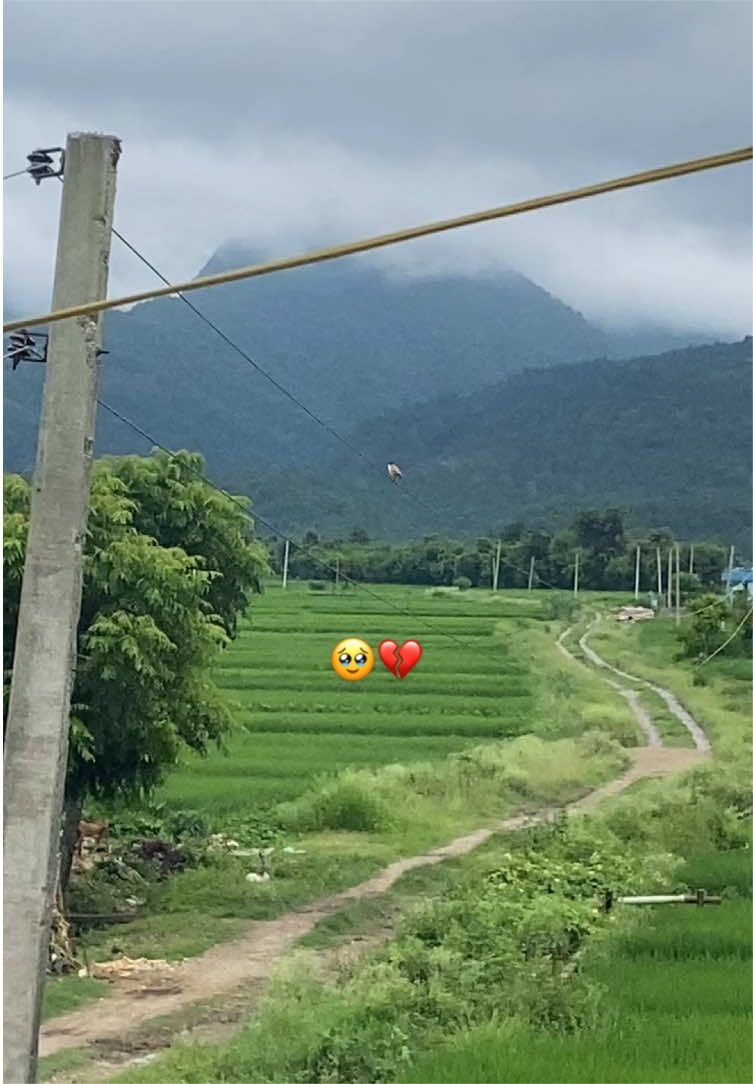 @M&atilde;~G&atilde;ry🍃