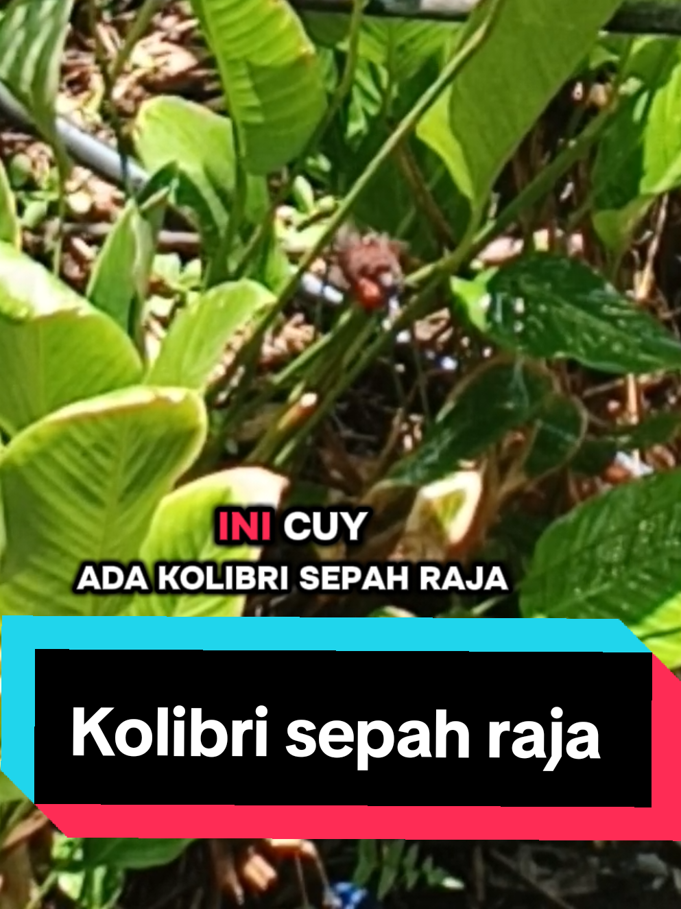 @PJr. EXPLORE