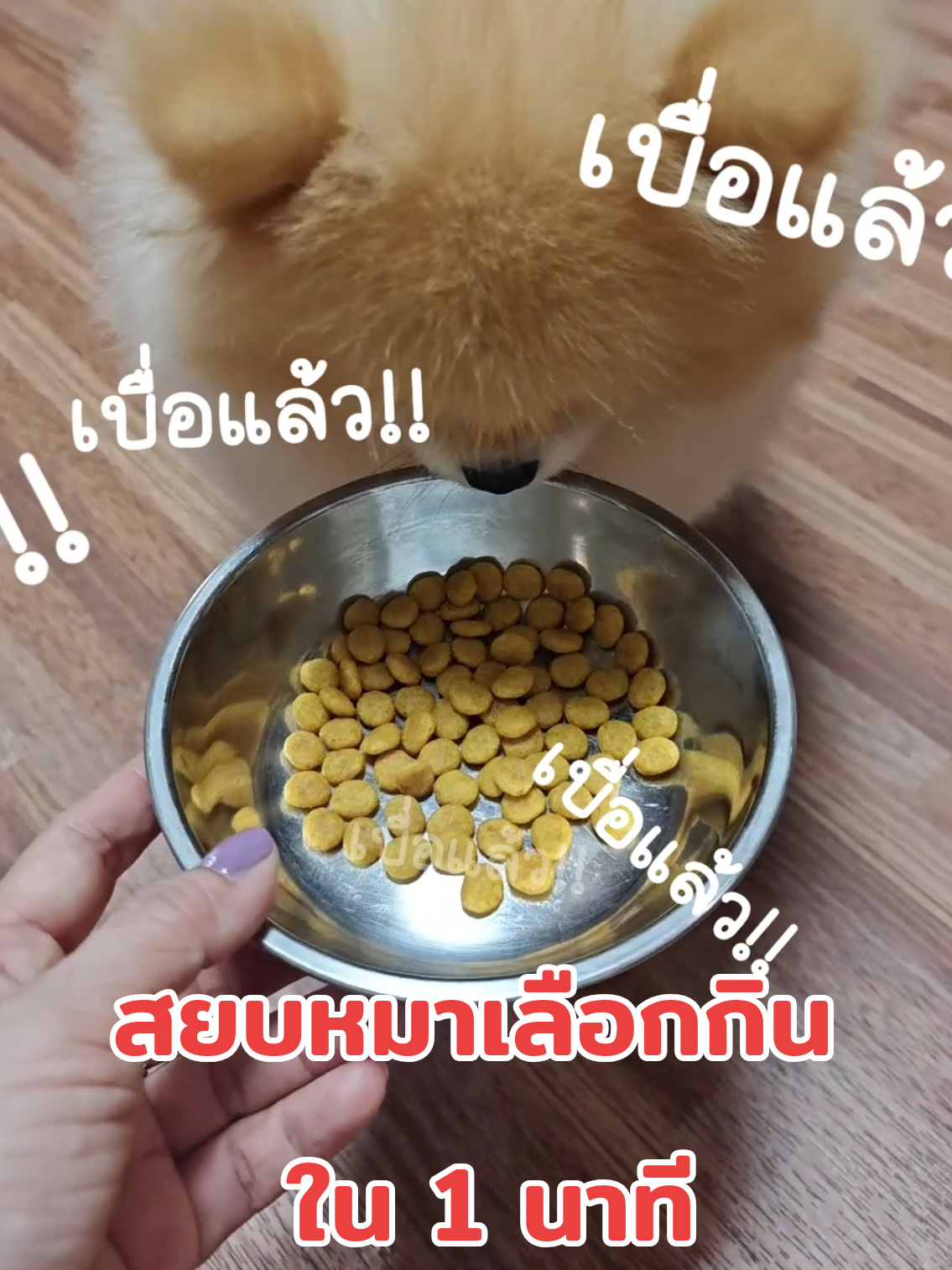 @Banana Diary