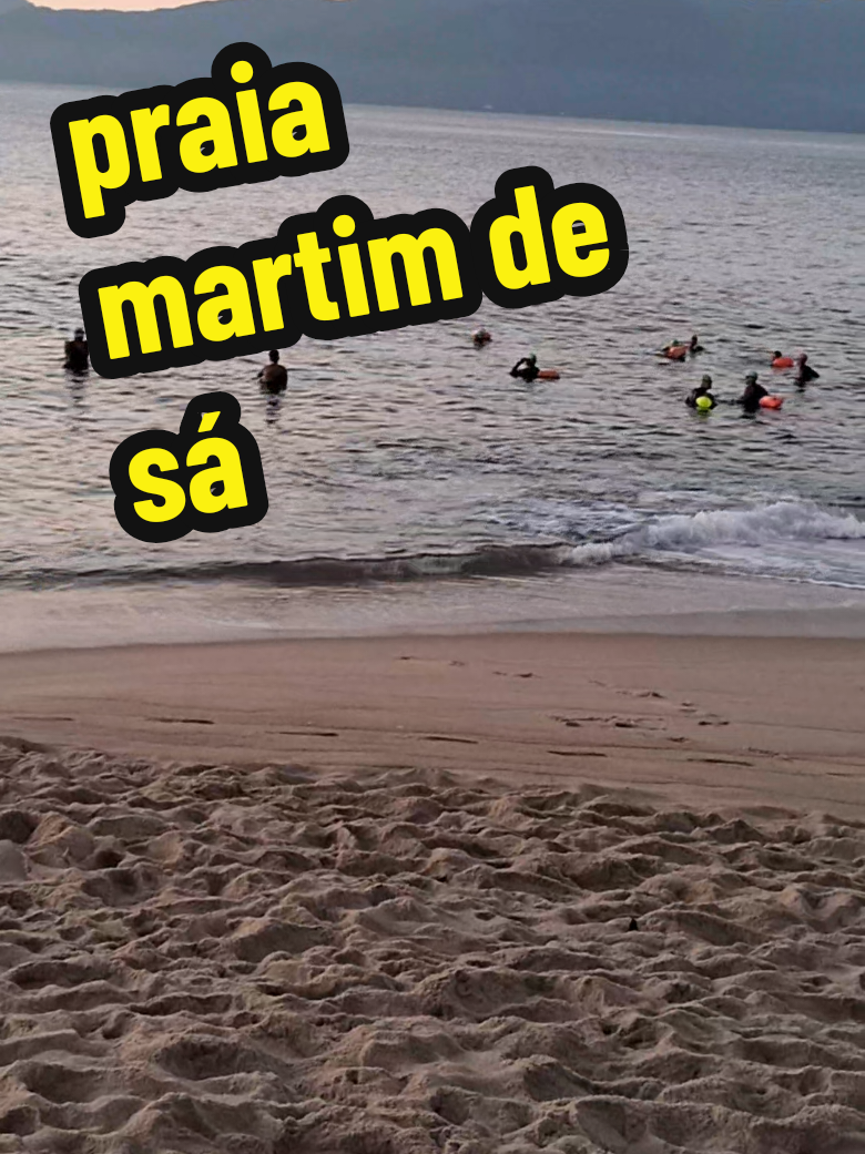 @Vicente Gardeal