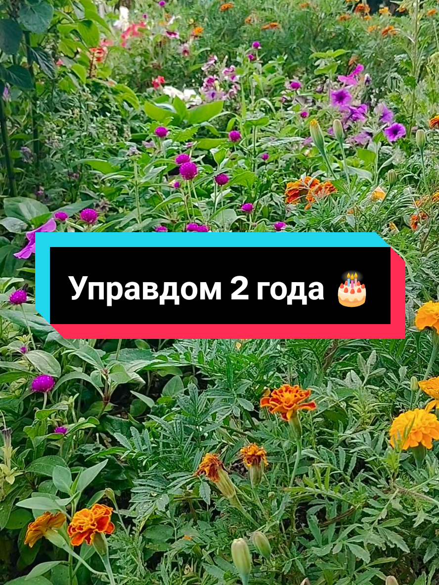 @Богдан ⚓