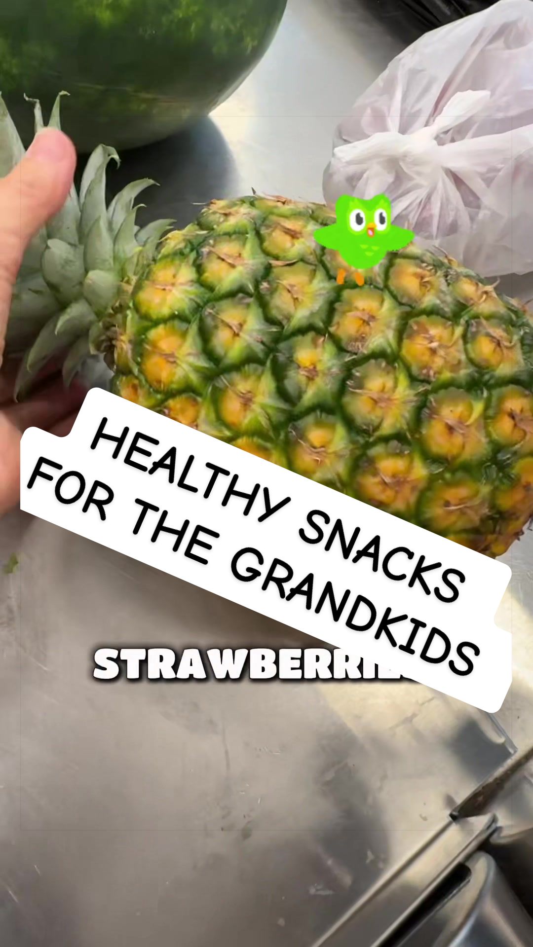 @That Vegan Teacher Miss Kadie