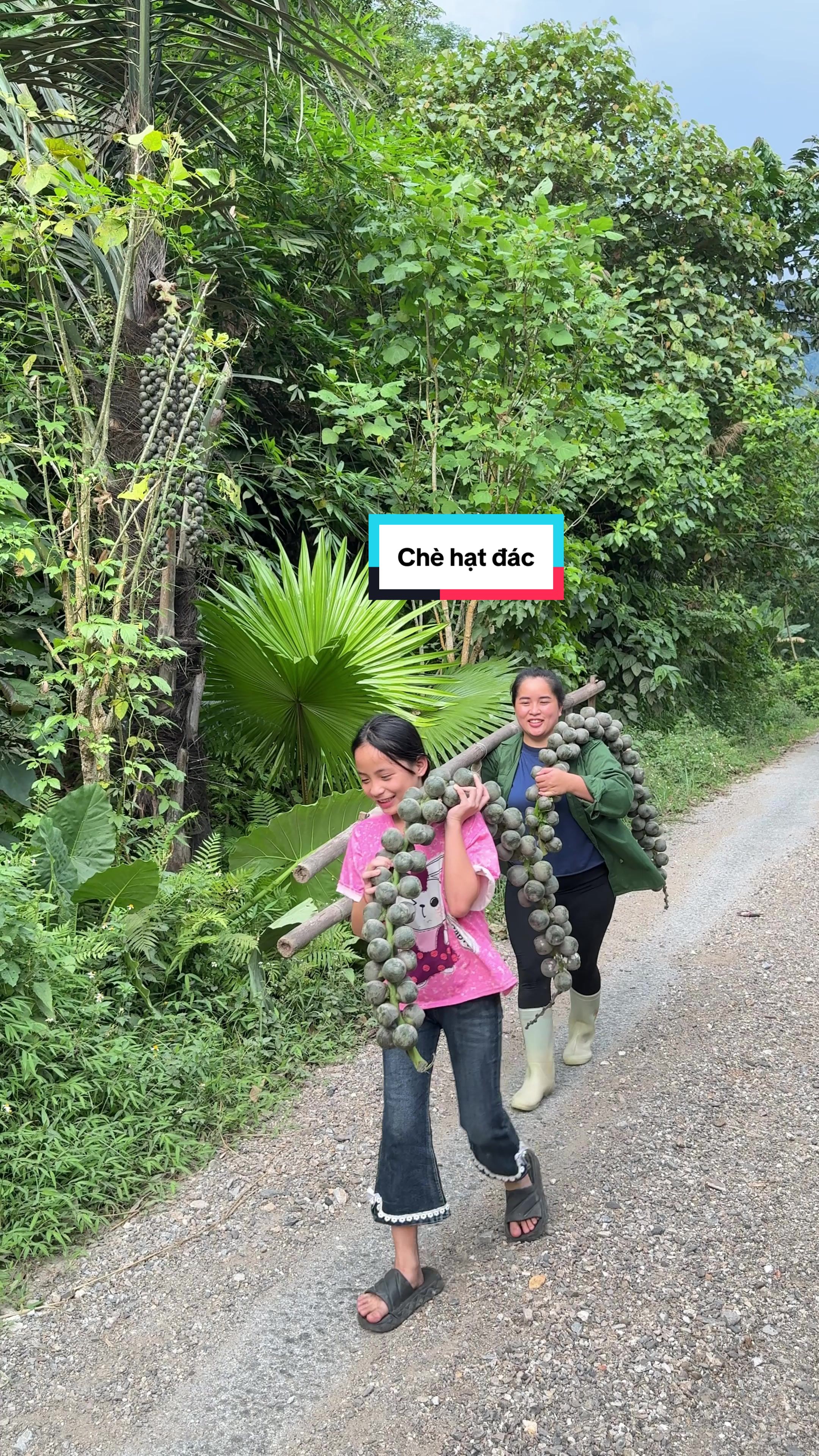 @Sức T&agrave;y
