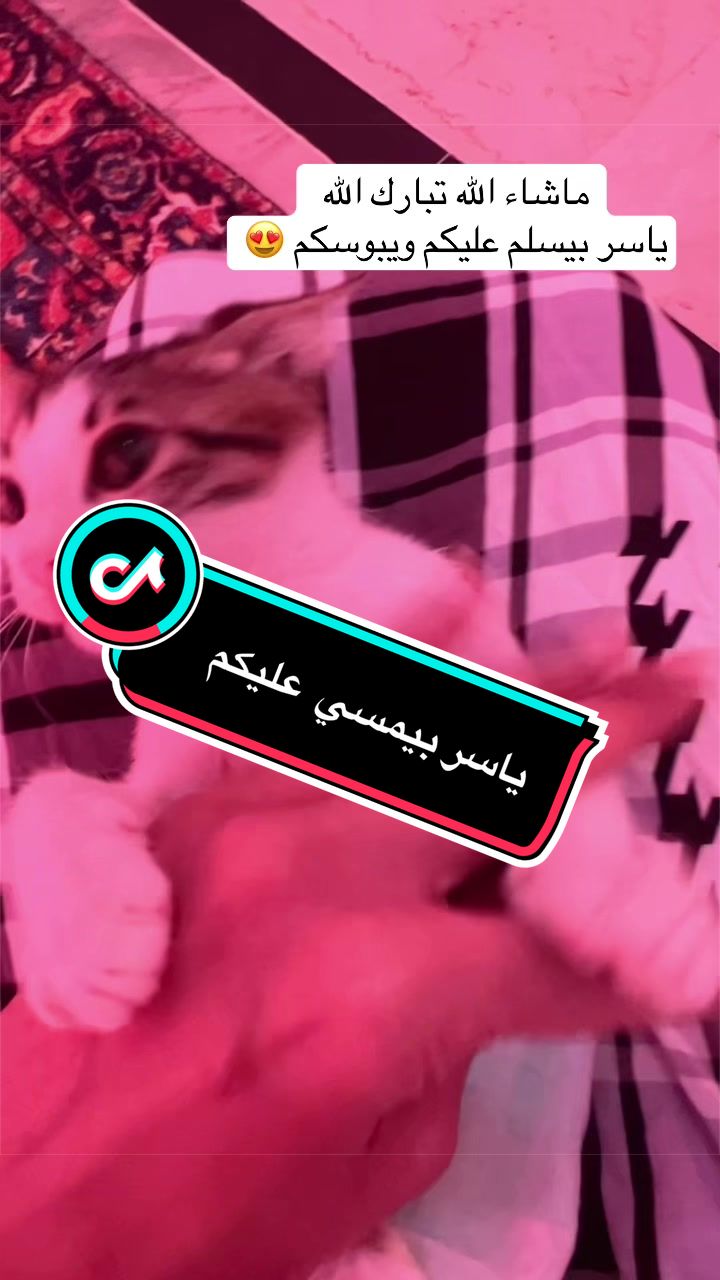 @لولو الحسني🇸🇦🫀