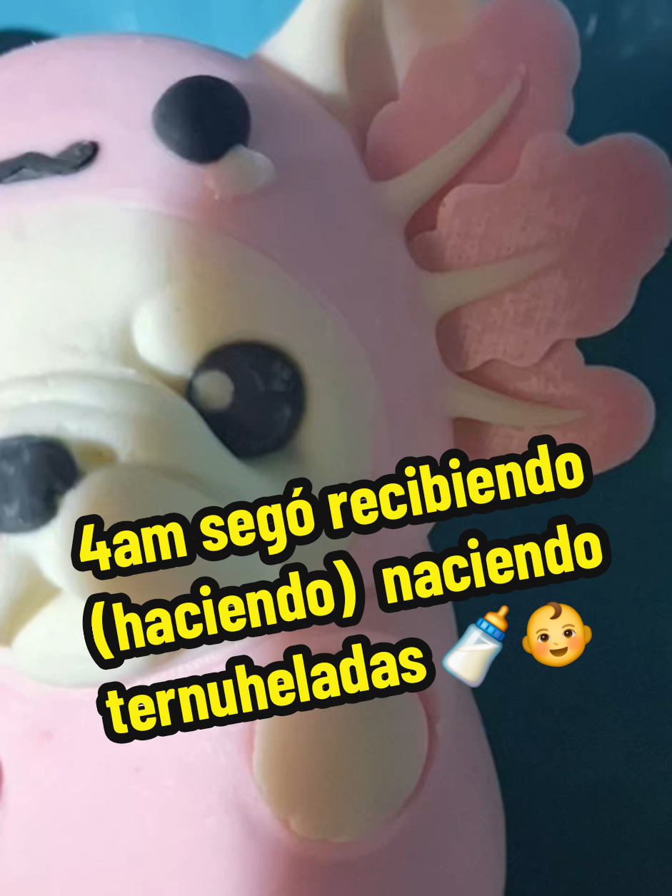 @TernuFood y Teenis Market