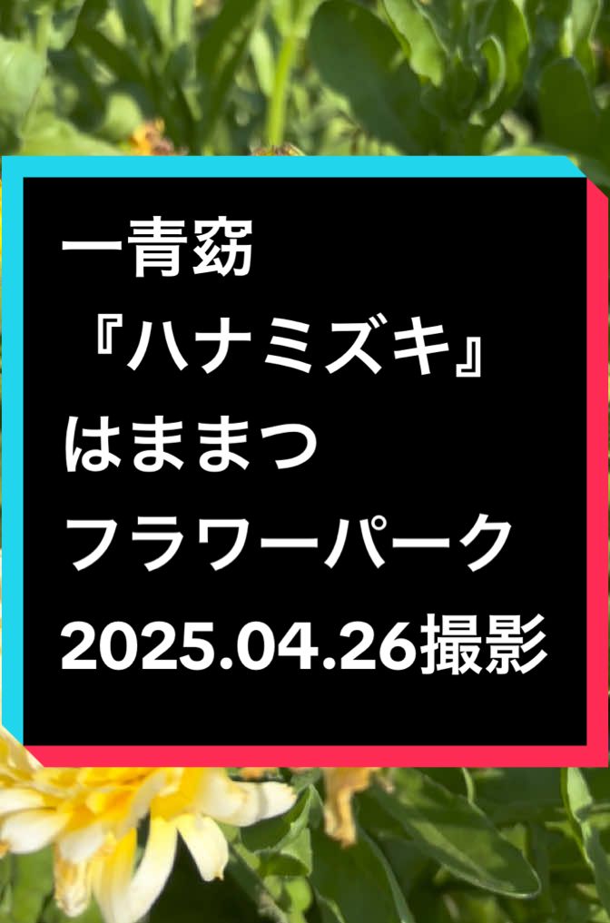 @ゆる