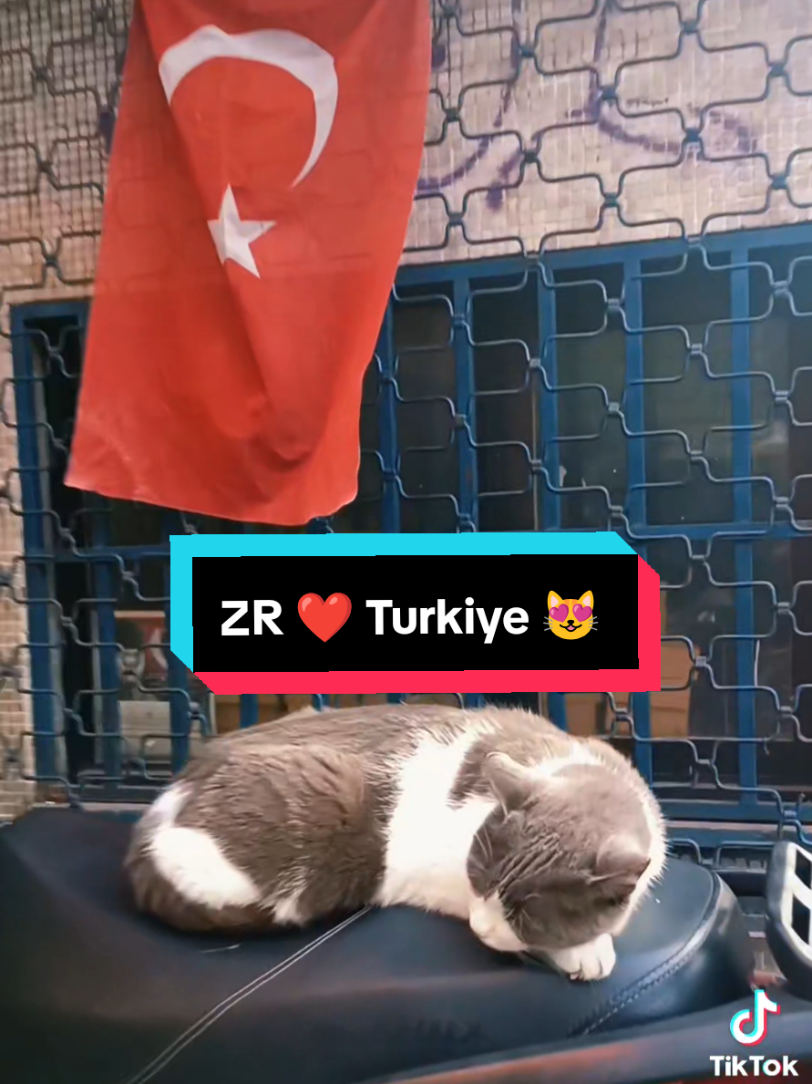 @ZR ๐ฒ๐พ