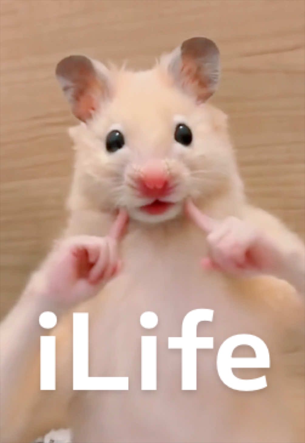 @FCham