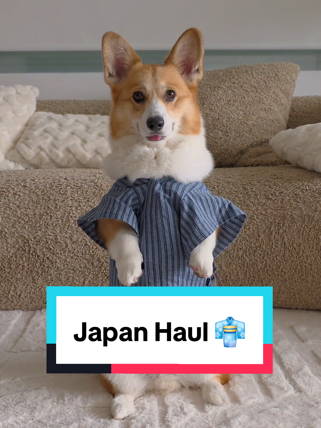 @Pocky the Corgi ๐ถ