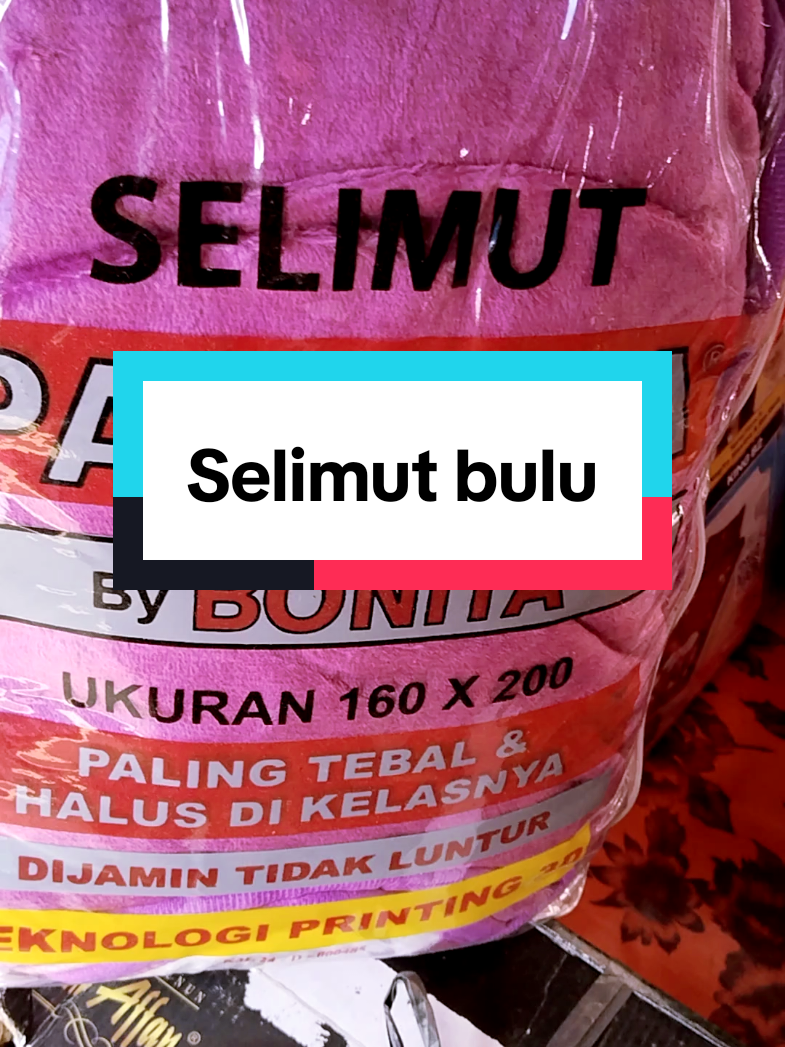 @WONK CEDAL R