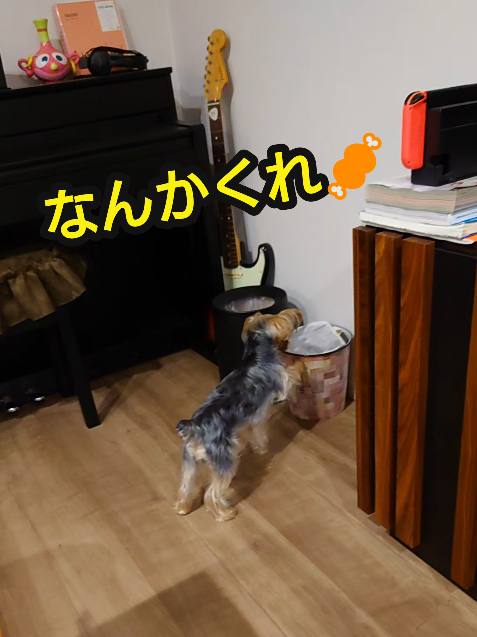 @🌏️🎀最後ののん🎀🌏️
