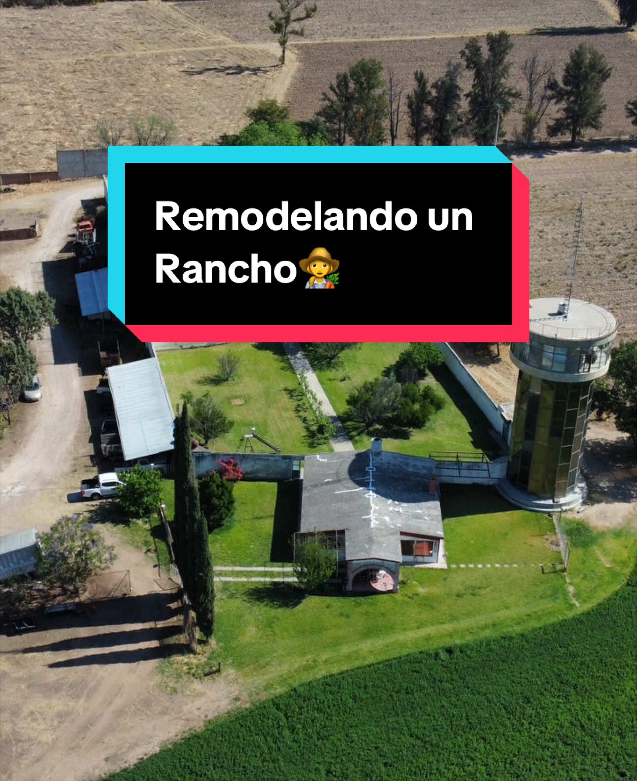 @Grupo Rolo