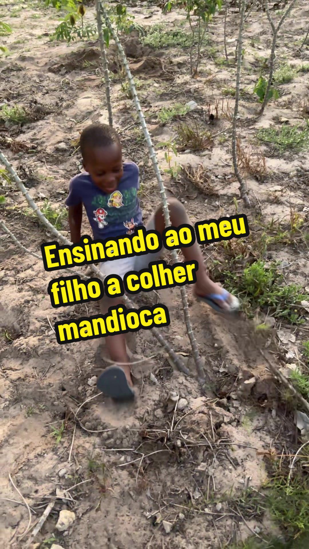 @Felicidade Gotine Firmino