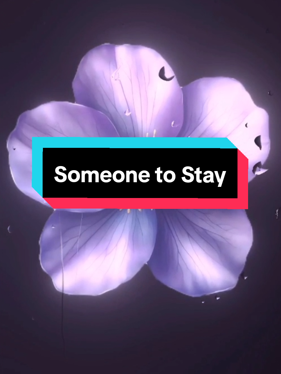 @𝗘𝗶𝘇𝗲𝗻𝗹𝘆𝗿𝗶𝗰𝘀 ☀︎